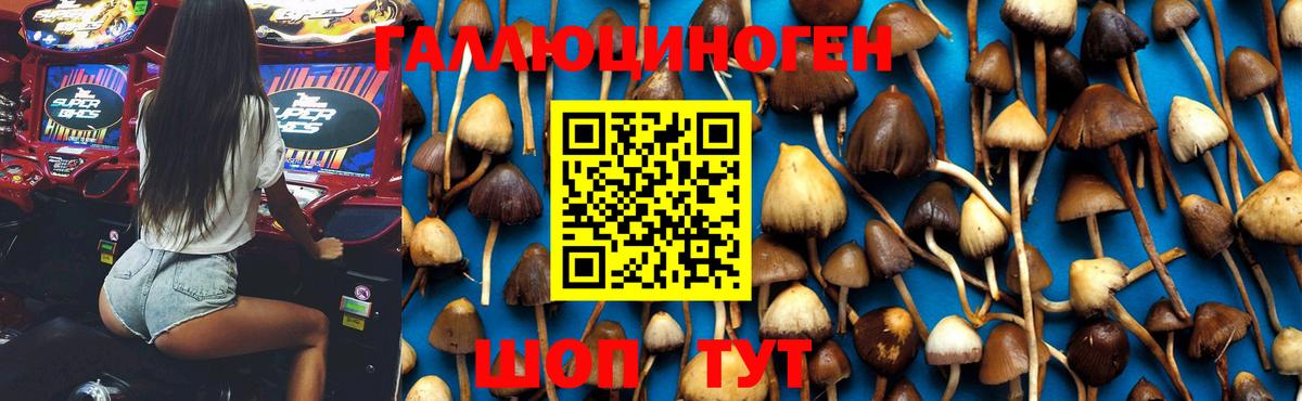 Тихвин  наркота  Вход с VPN  Псилоцибиновые грибы мухоморы 