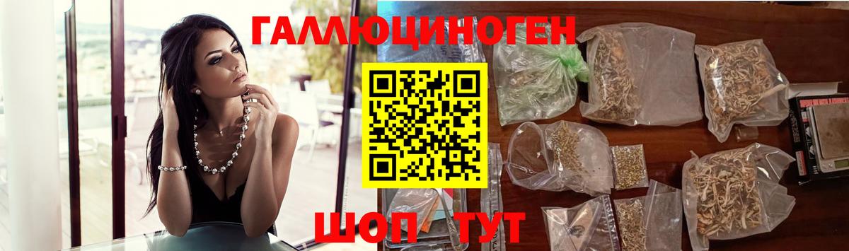 Галлюциногенные грибы Psilocybe Тихвин